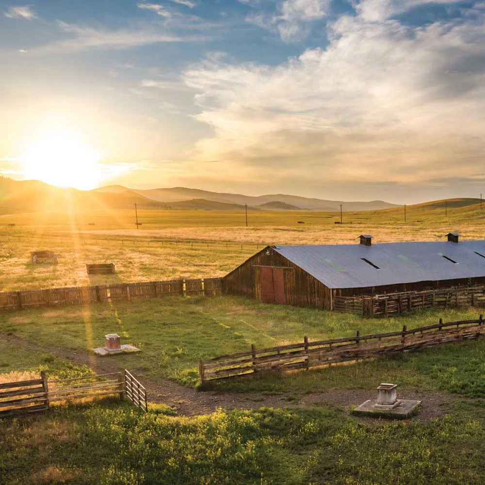 Birdseye Ranch