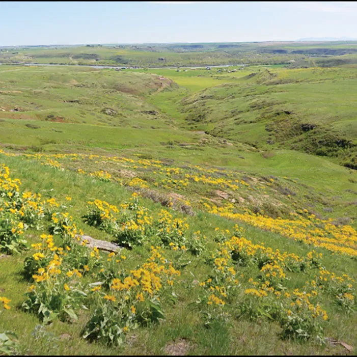 Hastings Family Ranch