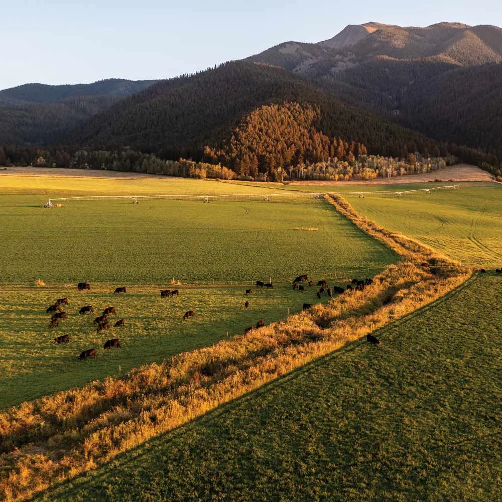 Warfield Ranch