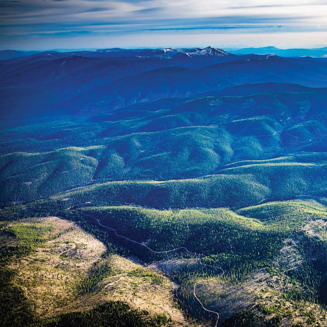 Aerial view of forested mountain ridges in western Montana